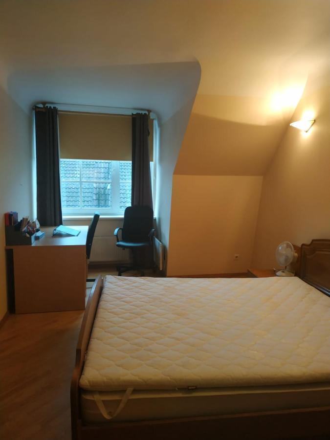 Red Nose Roof-Top Apartment 里加 外观 照片